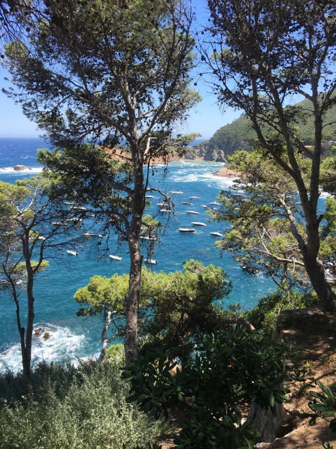 Cap Sa Sal Navy, Begur, Girona Daire Dış mekan fotoğraf