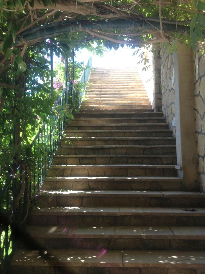 Cap Sa Sal Navy, Begur, Girona Daire Dış mekan fotoğraf