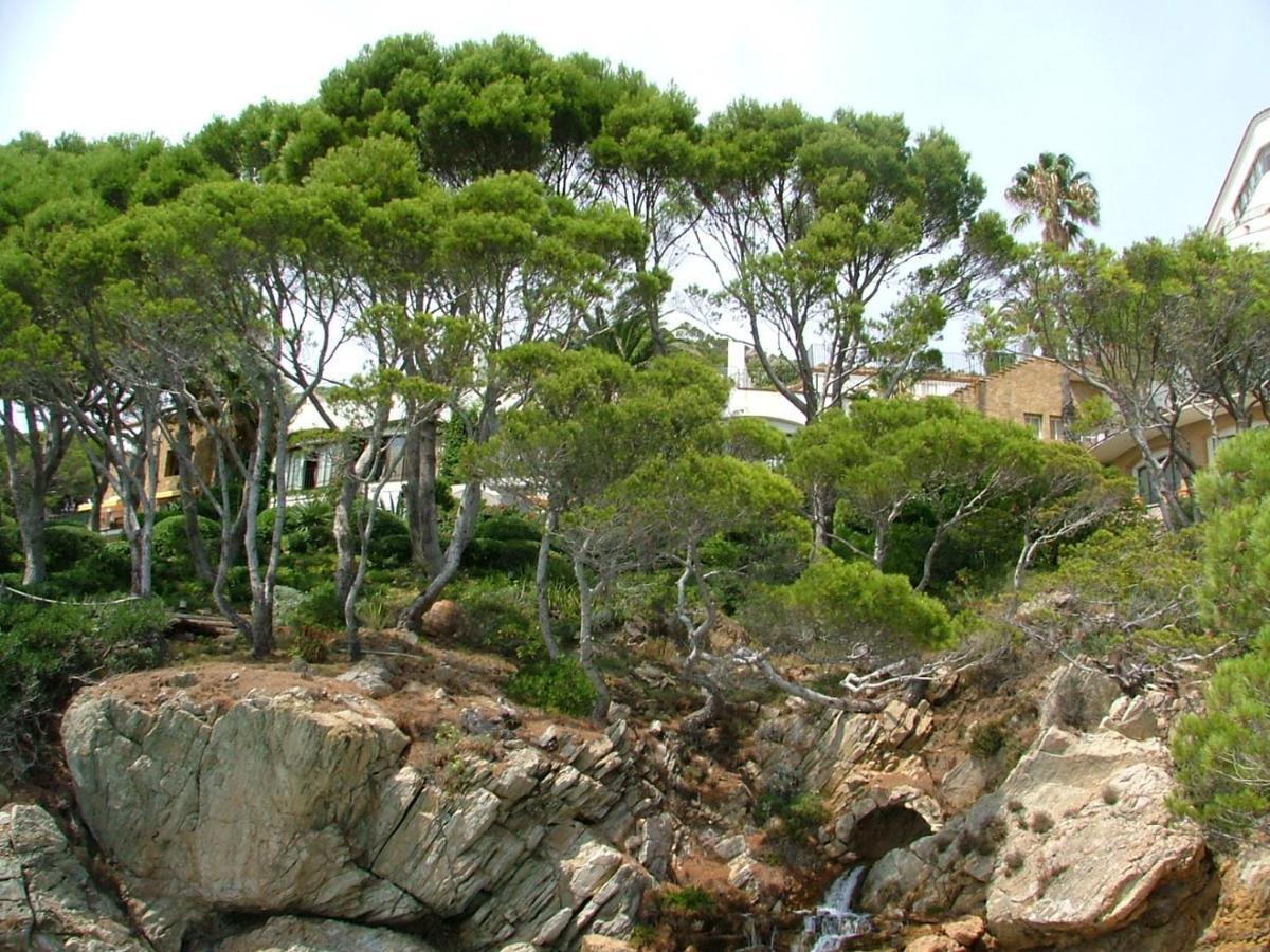 Cap Sa Sal Navy, Begur, Girona Daire Dış mekan fotoğraf