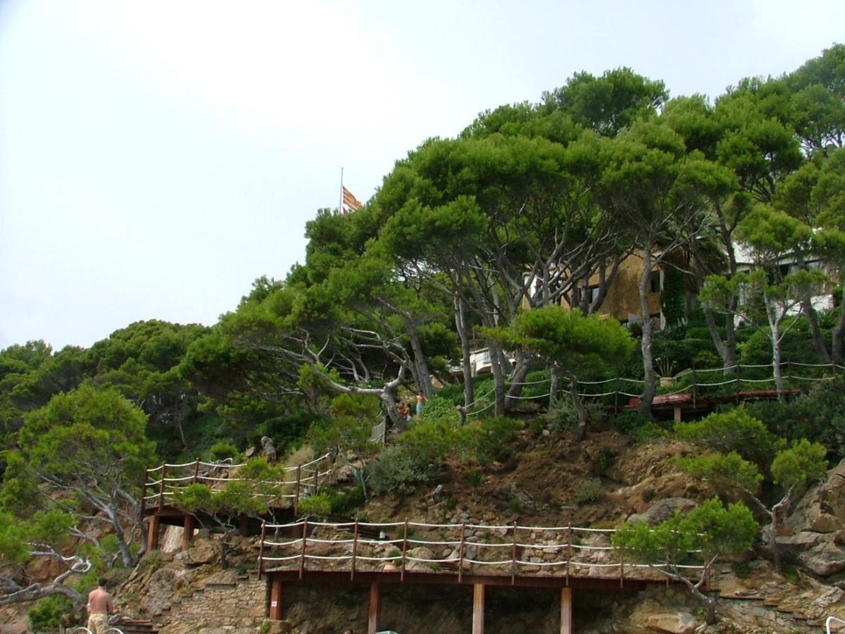 Cap Sa Sal Navy, Begur, Girona Daire Dış mekan fotoğraf